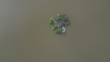 Island-Gallo,-over-Lagoon-Minialtepec-Oaxaca,-near-Puerto-Escondio