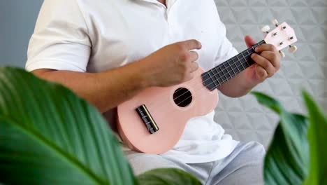 playing reggae with a ukulele