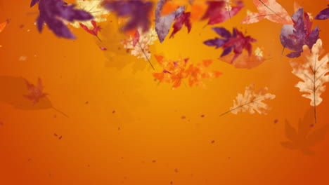 autumn orange abstract background with animation of colored falling leaves. blurred graphics. looped movement.
