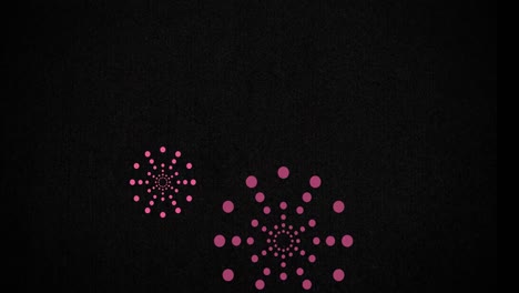 Animation-of-exploding-pink-fireworks-on-black-background