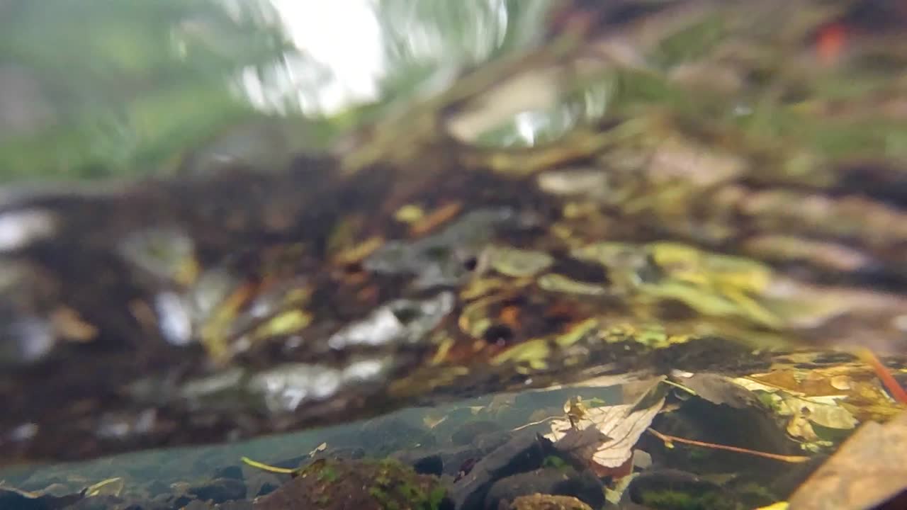 카메라 렌즈 위로 돌진하는 슬로우 모션 강물