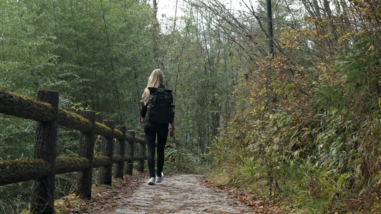 A scenic shot of a girl walking along the beautiful Nakasendo Trail in Japan, surrounded by lush greenery and traditional architecture.