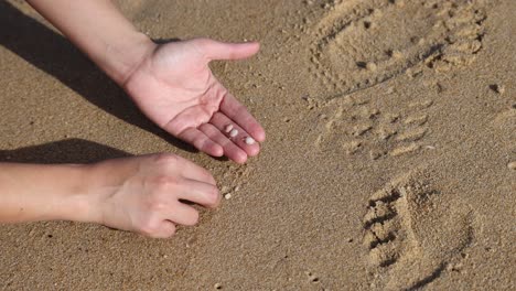 hands gathering shells near footprints on sand