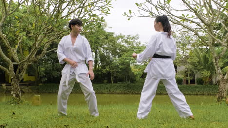 couple practising martial arts together