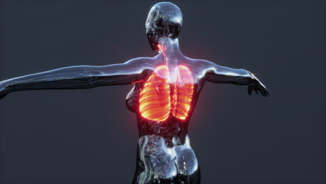 coronavirus covid-19 infection in the lungs