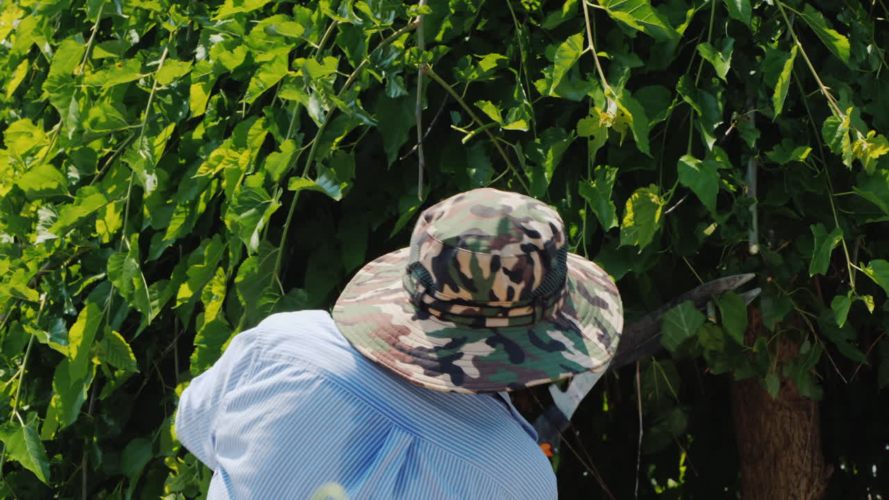 전문 정원사가 나뭇가지를 능숙하게 자르고 정원 관리 및 손질