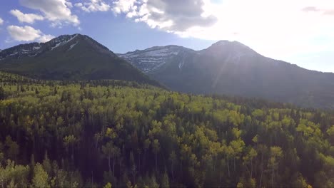 A-drone-rises-over-the-aspen-and-evergreen-trees-of-the-Uintah-National-Forest-near-Mount-Timpanogos