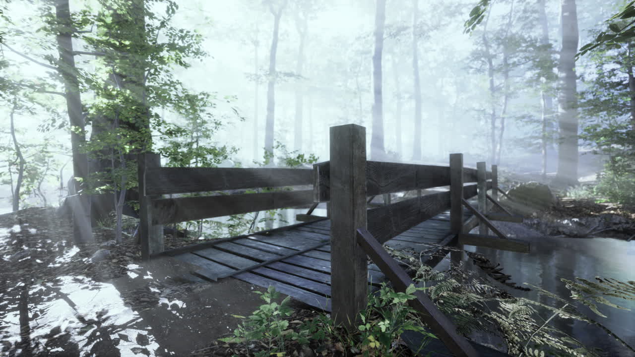 안개 속의 숲 속의 나무 다리