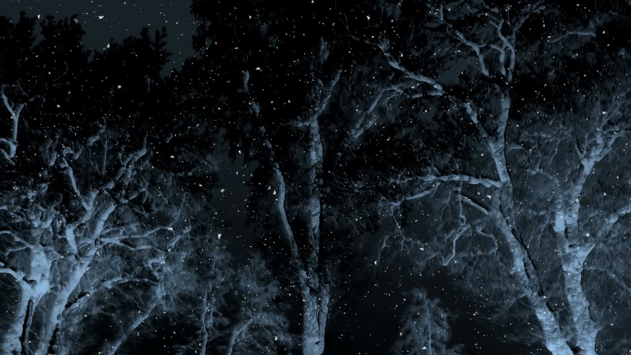 fondo oscuro de la noche de invierno