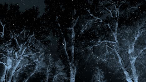 dark winter night background