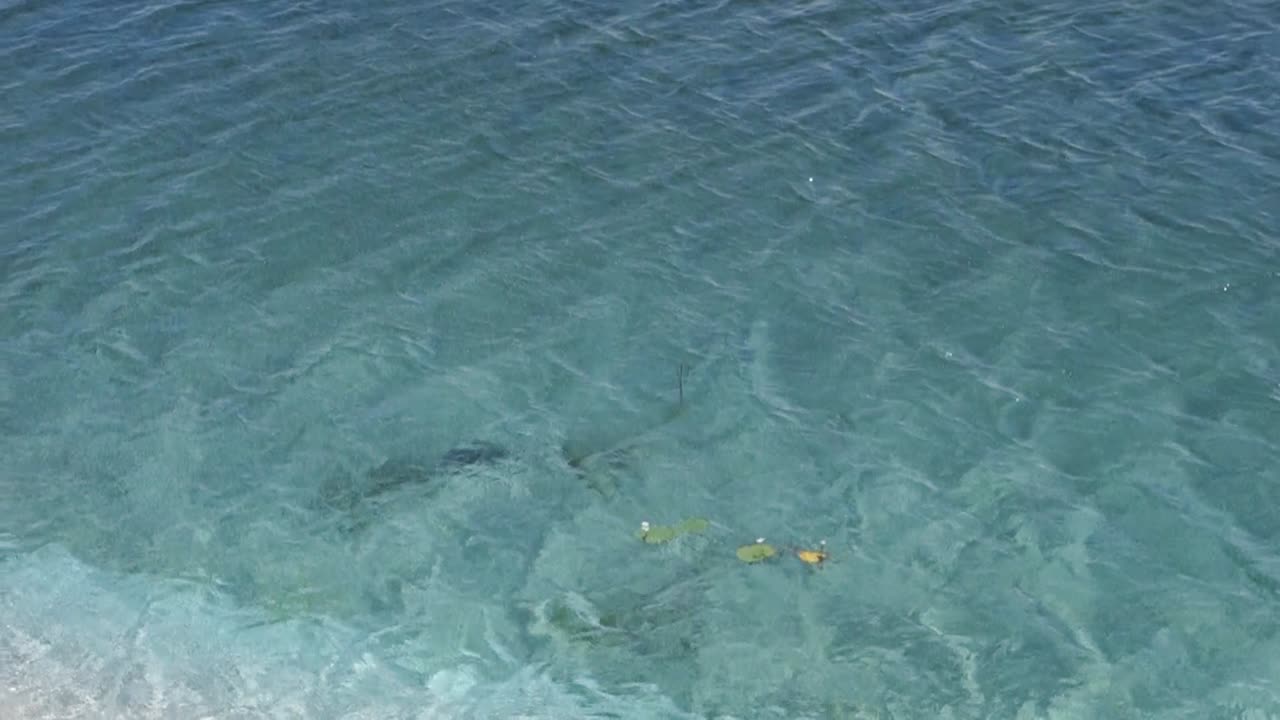 물결 모양의 청록색 수면, 바람 부는