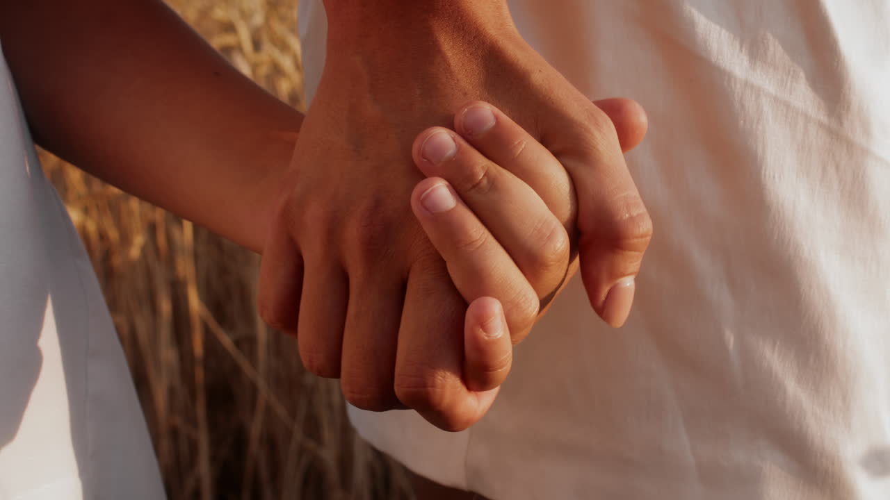 niño y adulto tomados de la mano en un campo de trigo