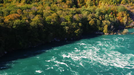 mountain forest on river bank