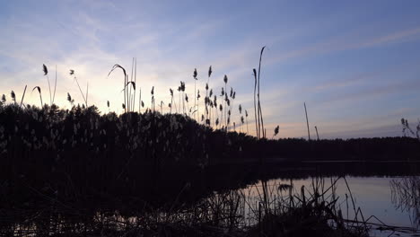 Idyllischer-Und-Friedlicher-Abend-Am-Ufer-Des-Sees-Mit-Wunderschönem-Blauen-Himmel-Im-Hintergrund