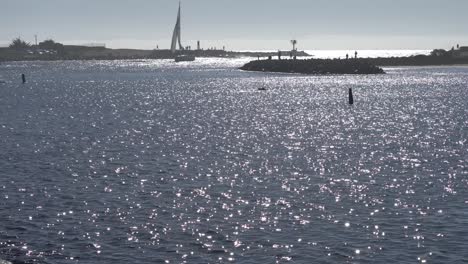 gente pescando y haciendo kayak en el puerto de aterrizaje de musgo en california