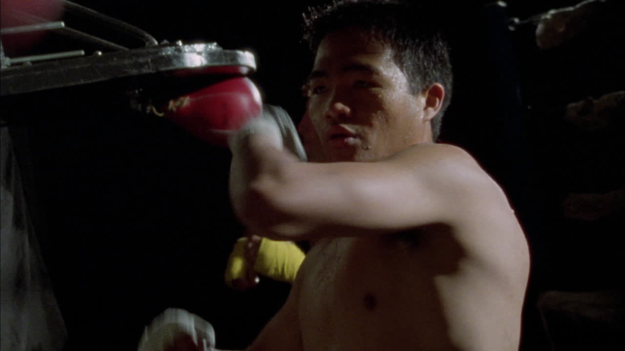 권투 선수 몇 명이 스피드 백에서 운동합니다 1