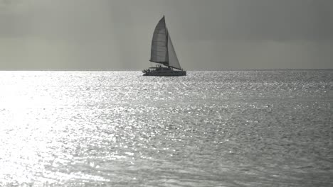 sail boat sailing the caribbean sea in barbados island at sunset