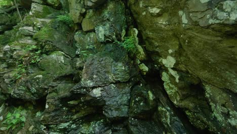 water drips over stones along wissahickon creek