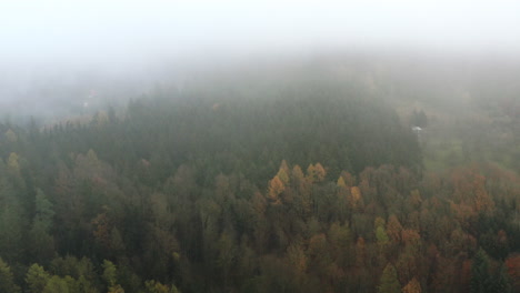 aerial shot of central european forest on cloudy, foggy autumn day