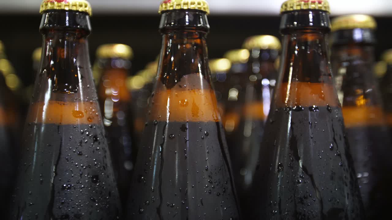 Close-up of Cold Beer Bottles in a Display