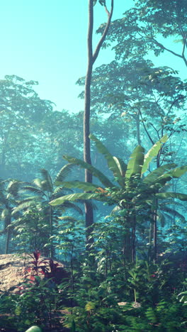 tranquil jungle scene