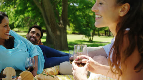 couples interacting with each other while having red wine in the park