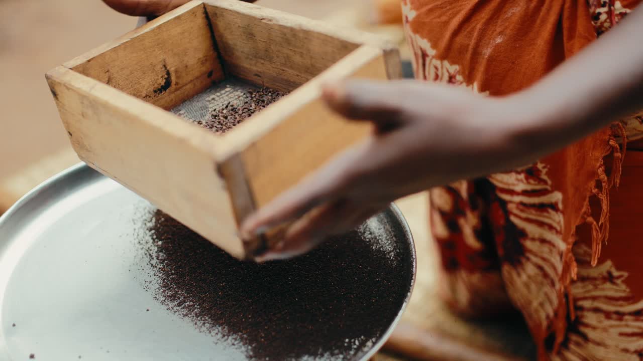 Black Ugandan lady use wooden sifter to sieve ground coffee onto metal plate