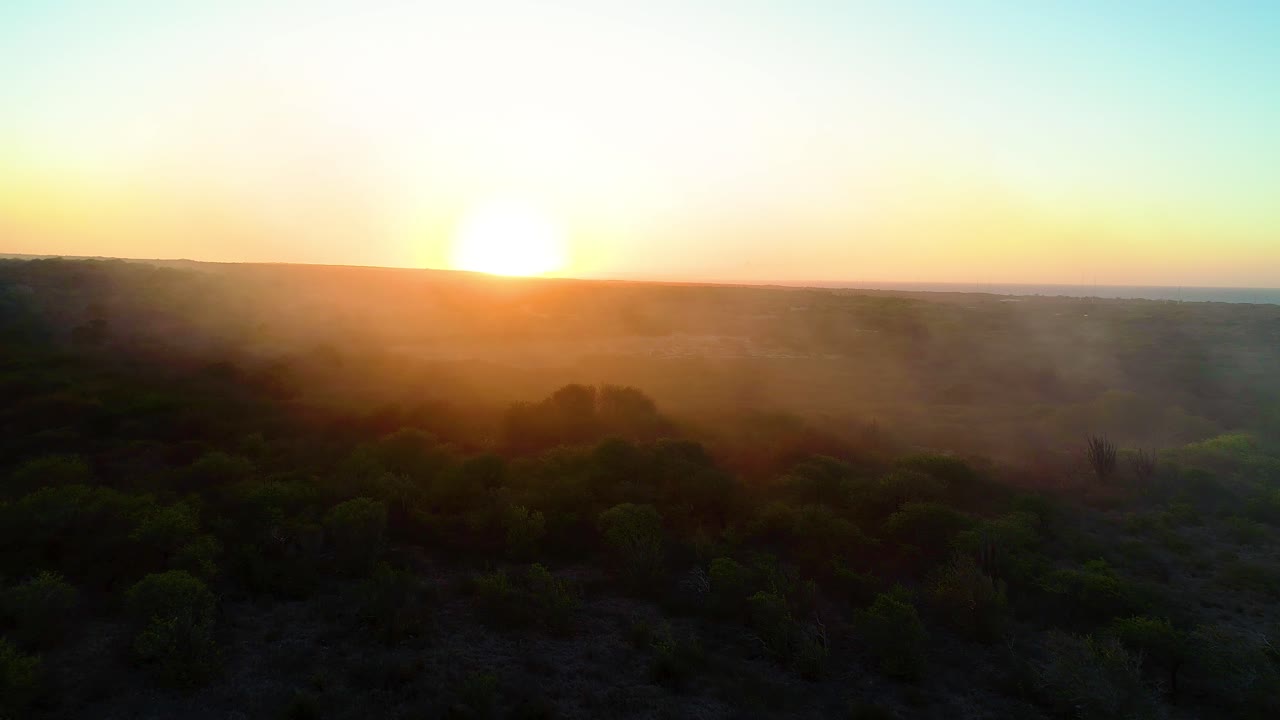 vista panorámica aérea estática del humo que se extiende por el paisaje de arbustos en la hora dorada