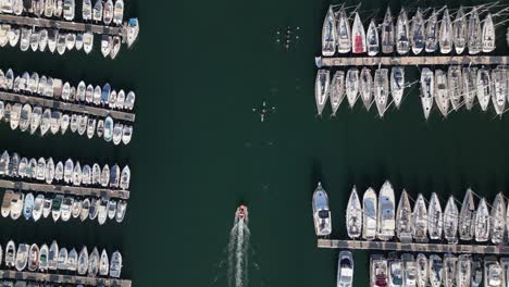 Vista-Aérea-A-Vista-De-Pájaro-De-Barcos-Amarrados-Y-Yates-En-El-Puerto-Deportivo,-Kayaks-En-Agua-Del-Mar-Mediterráneo,-Marsella,-Francia