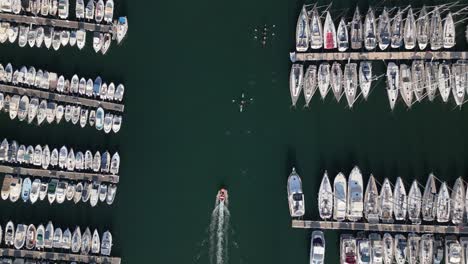birdseye aerial view of moored boats and yachts in marina, kayaks in water of mediterranean sea, marseille, france