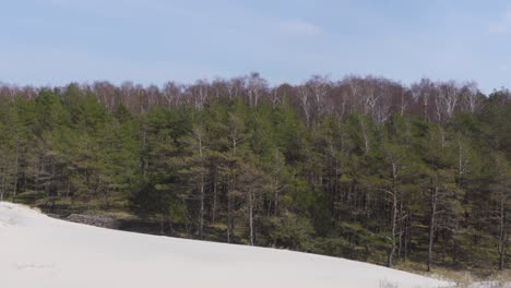 Dunas-Dentro-De-Un-Bosque-En-El-Parque-Nacional-De-Curlandia,-Lituania