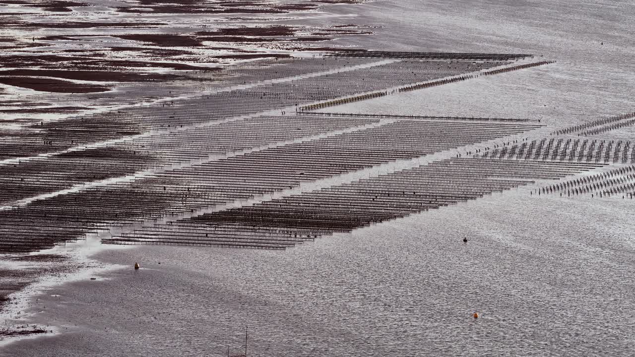 Whitstable Oyster Farm aerial view, tranquil and vast coastal scene