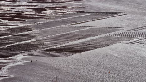 whitstable oyster farm aerial view, tranquil and vast coastal scene