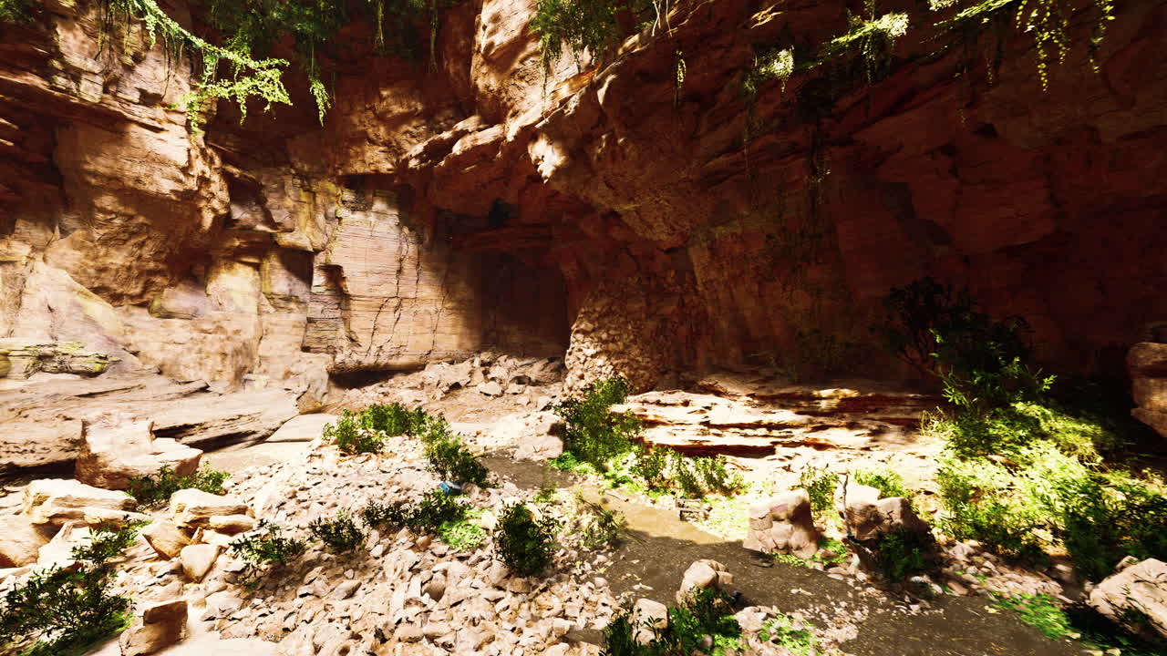view from inside a dark cave with green plants and light on the exit