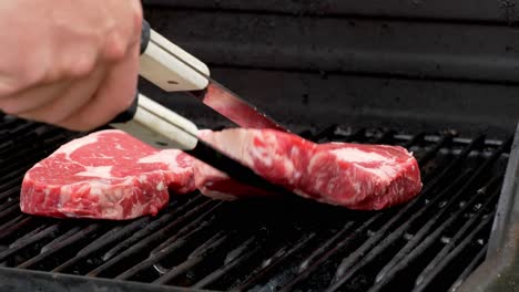 Two-raw-rib-eye-steaks-cooking-on-a-grill