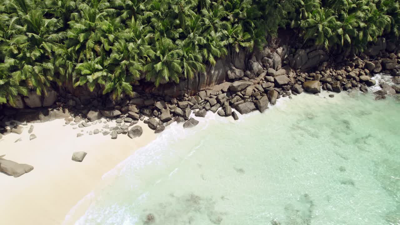 Ripresa drone di rocce sulla spiaggia di Mahé, Seychelles, con palme da cocco.