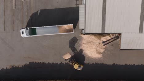 Payloader-Laden-Sägemehl-In-Anhänger-LKW-Bei-Sägewerk-Industrie