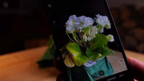 mobile phone through which you can see a white flower, time low current status of under 20 percent