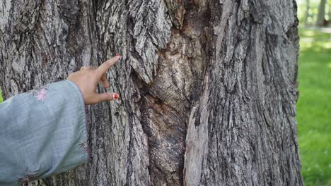 close-up of tree bark with finger pointing