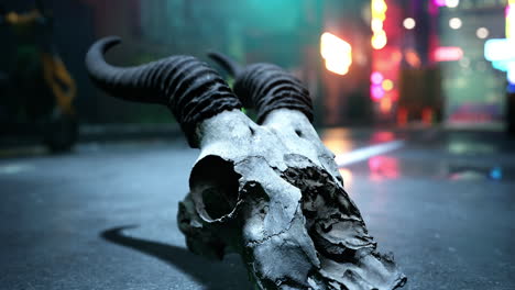 animal skull in a dark city alley