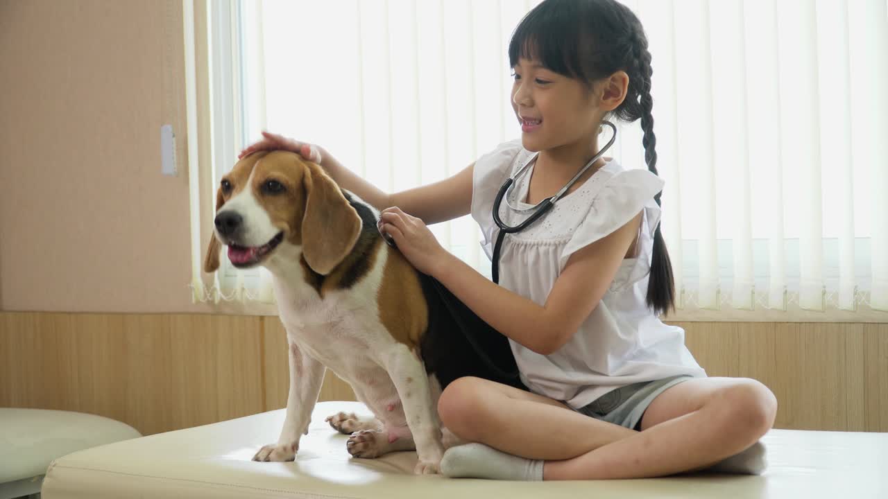 소녀가 수의사 클리닉에서 스테토스코프로 개를 검사하는 의사나 수의사를 연기합니다.