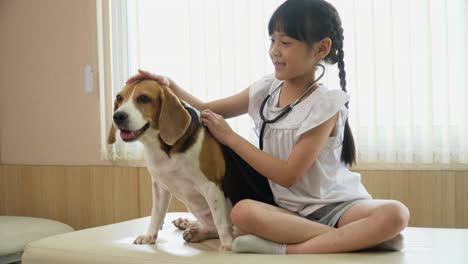 little girl playing doctor or veterinarian examining dog by stethoscope in vet clinic