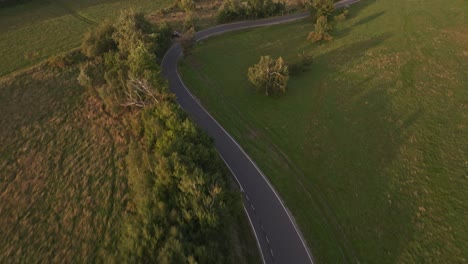 nature-wood-forest-green-stock-footage