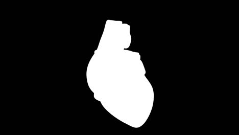 el corazón humano animado en 3d