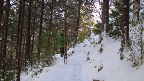 hombre vestido con un anorak verde caminando por un sendero de montaña entre árboles en un bosque nevado