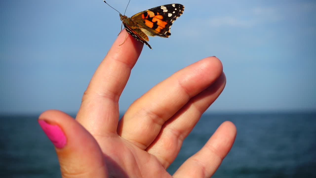 Farfalla sulle dita della mano sullo sfondo del mare