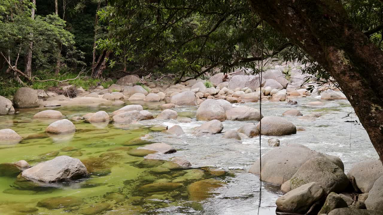 Clear water flows over rocks in a lush, tranquil rainforest setting. Soft lighting enhances the natural beauty and peaceful atmosphere