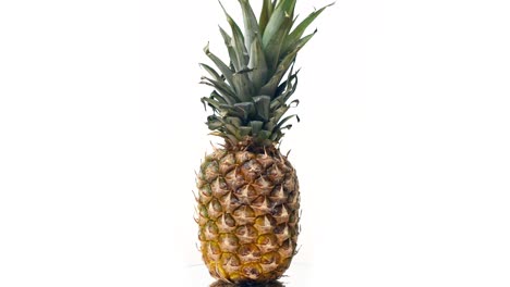 piña girando sobre un fondo blanco