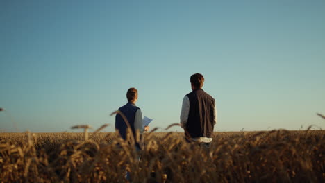 team agronomists working at golden wheat field. workers inspect crops rear view.