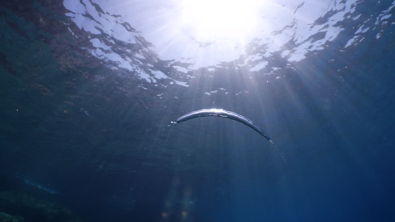 하늘과 표면에 가까운 수중 바다 풍경 태양 광선과 공기 거품 느리게 편안한 바다 배경